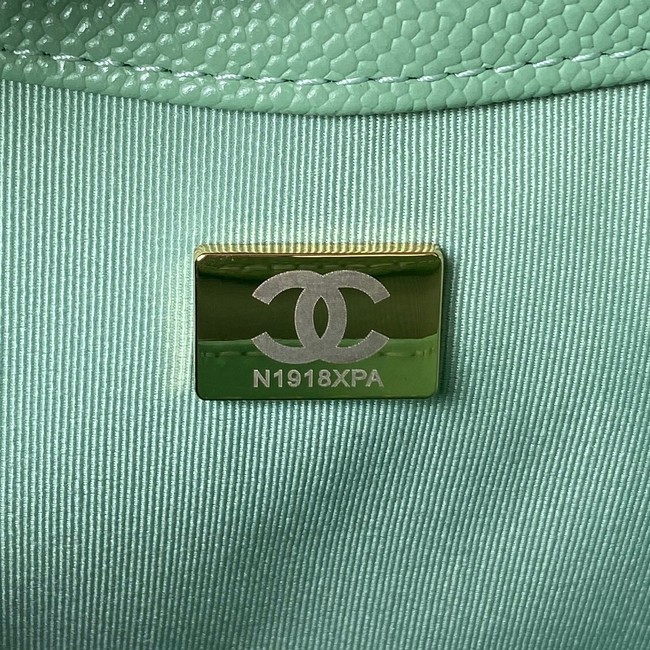 Chanel Shoulder Bag AS3919 green