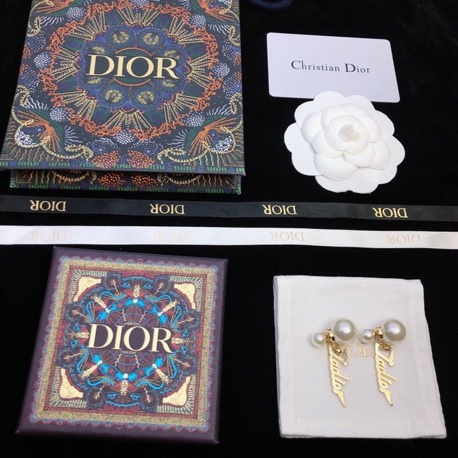 Dior Earrings CE11407