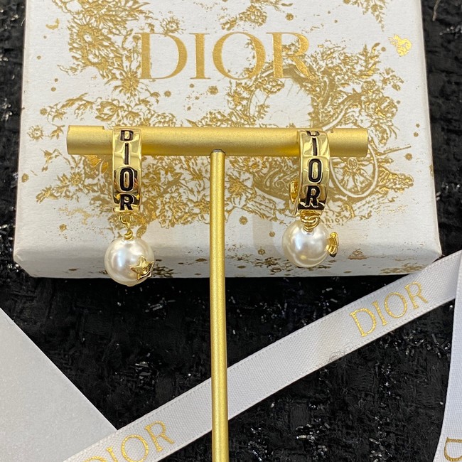 Dior Earrings CE11419