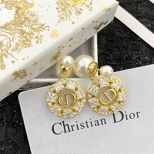 Dior Earrings CE11420