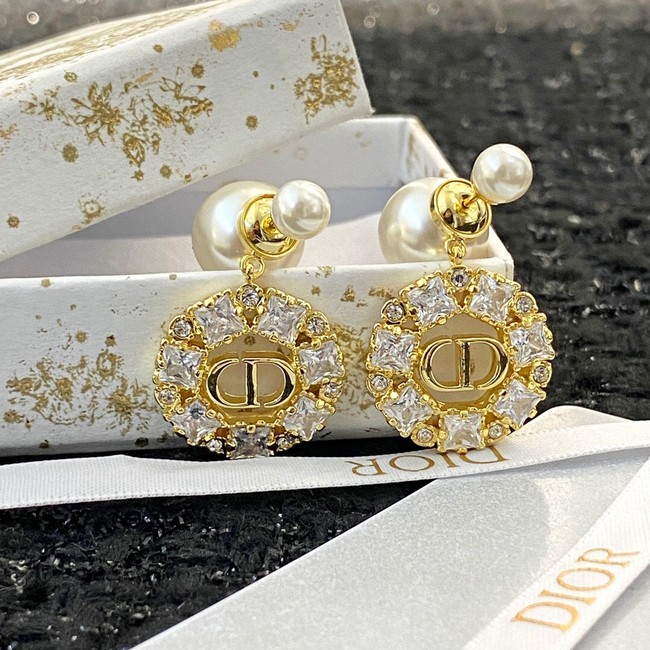 Dior Earrings CE11420