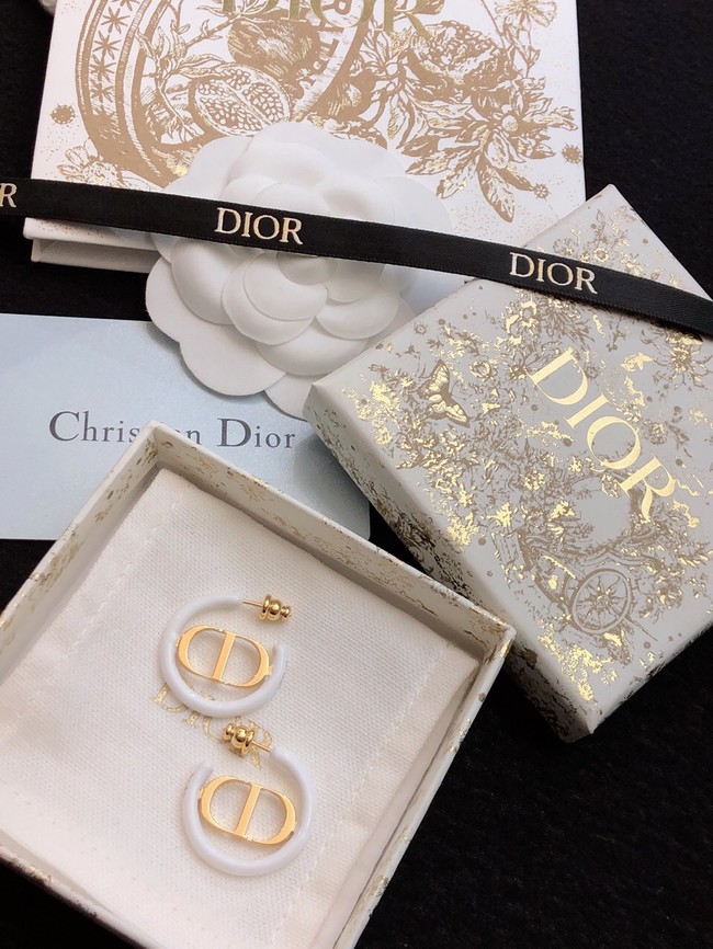 Dior Earrings CE11473