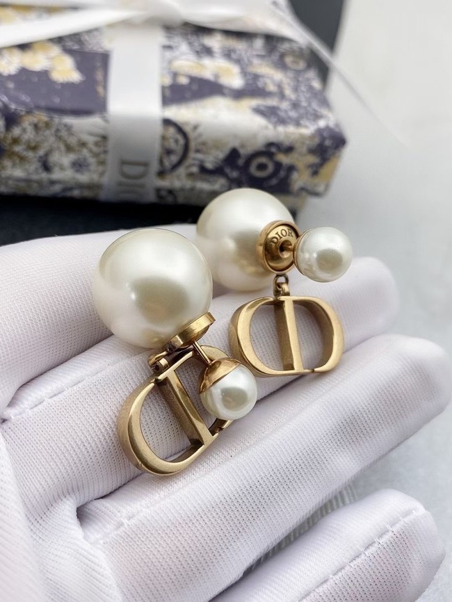 Dior Earrings CE11474