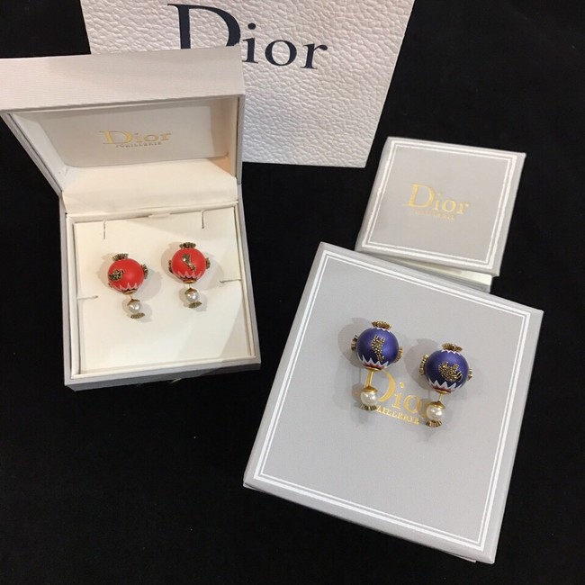 Dior Earrings CE11655