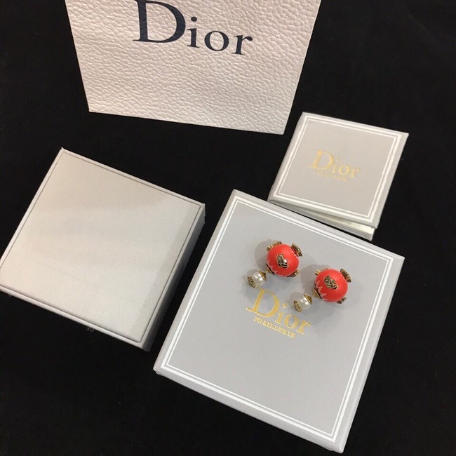 Dior Earrings CE11655