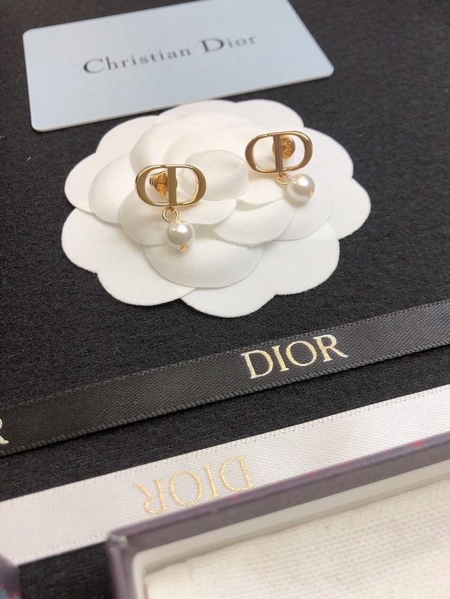 Dior Earrings CE11657