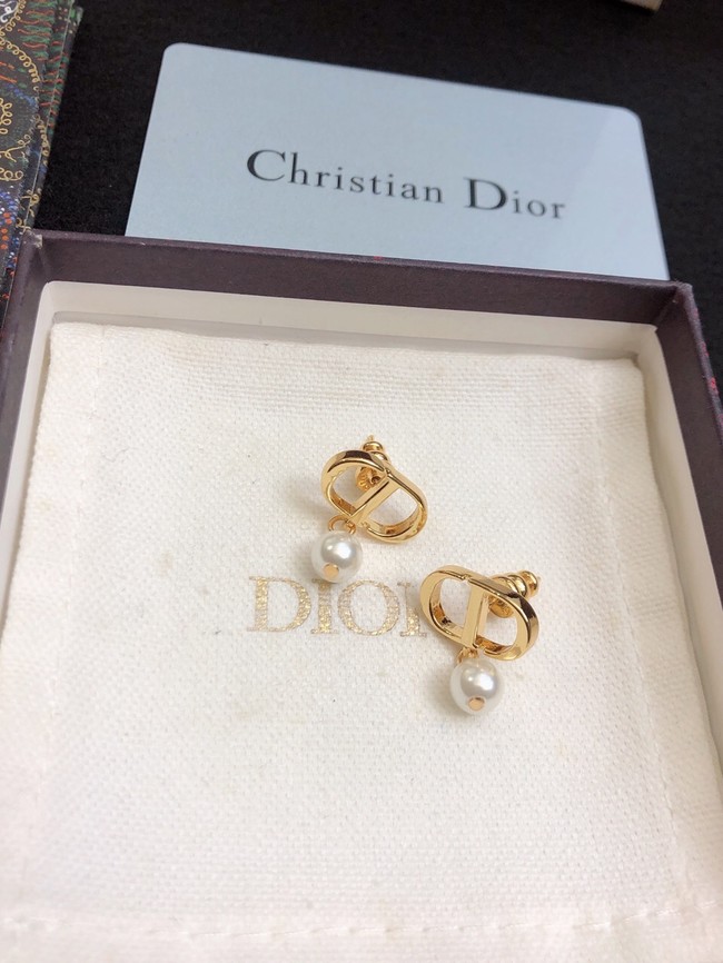 Dior Earrings CE11657