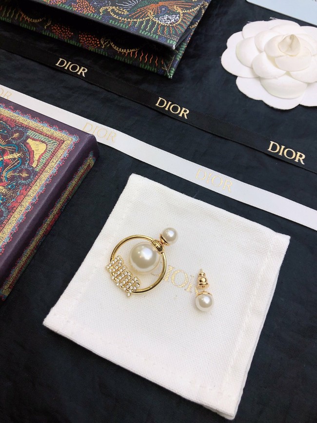 Dior Earrings CE11658