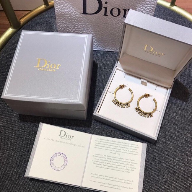 Dior Earrings CE11660