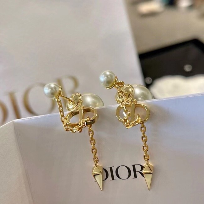 Dior Earrings CE11664