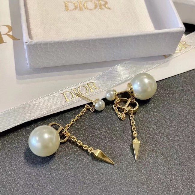 Dior Earrings CE11664