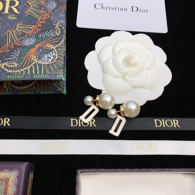 Dior Earrings CE11672