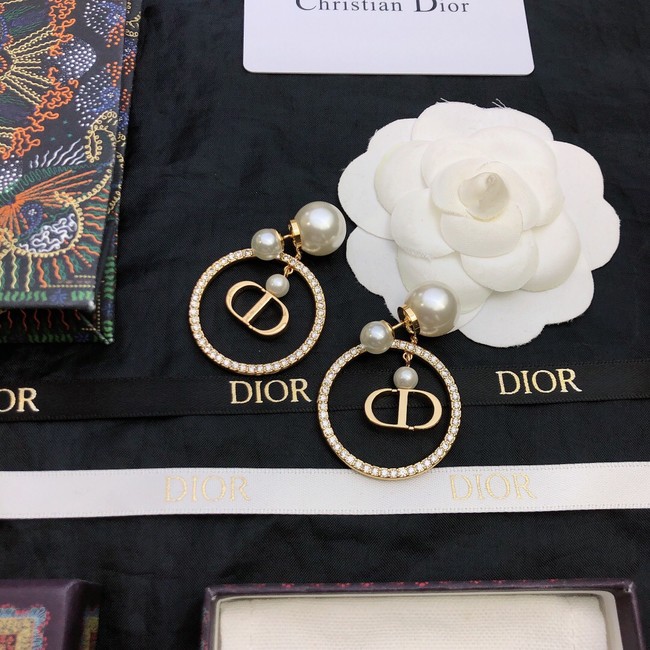 Dior Earrings CE11674