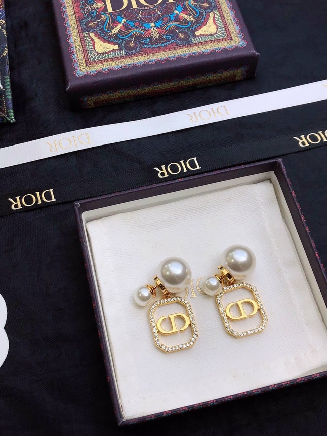 Dior Earrings CE11675