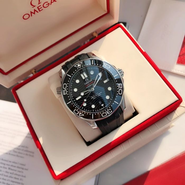 Omega Watch OMW00773