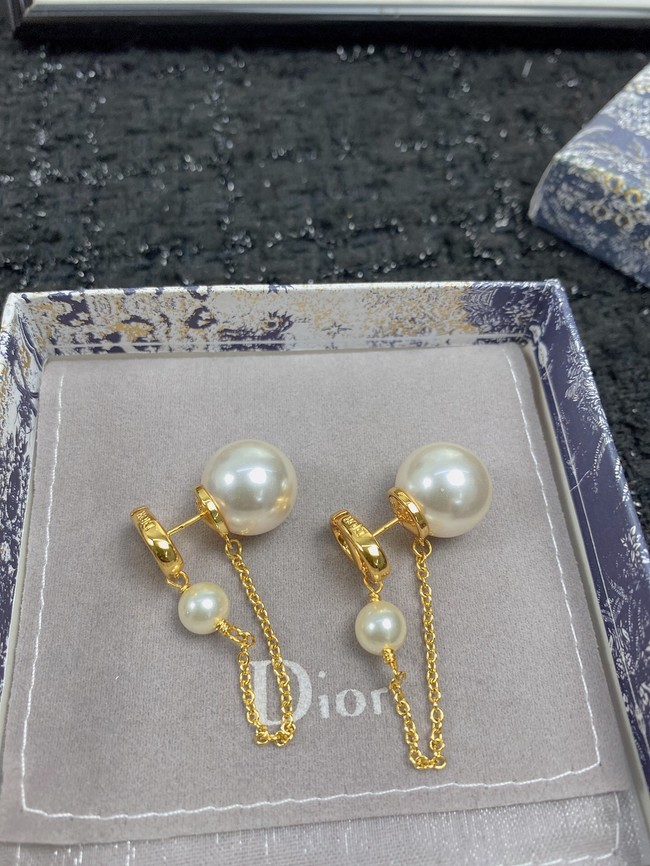 Dior Earrings CE11690