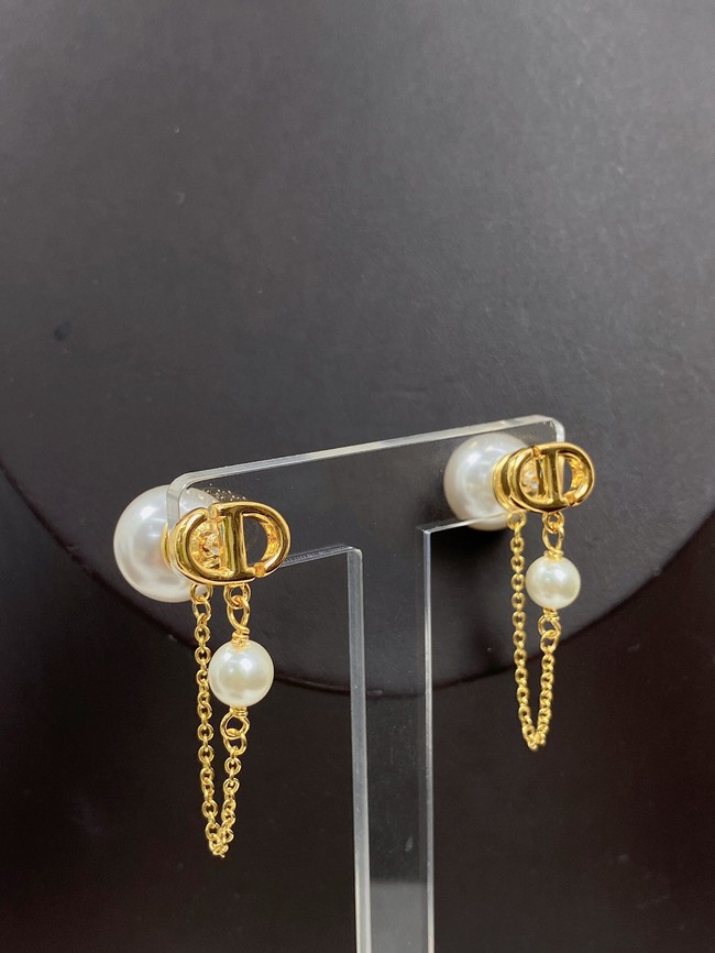 Dior Earrings CE11690