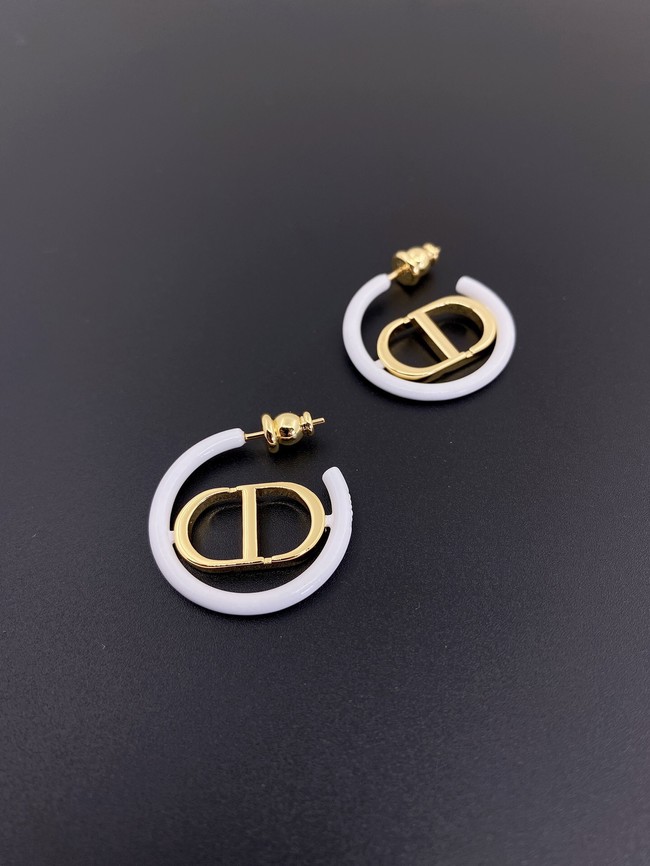 Dior Earrings CE11700