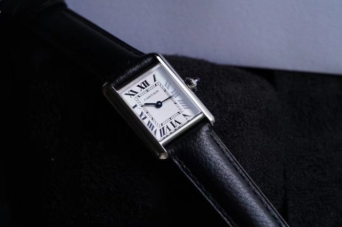 Cartier Watch CTW00183