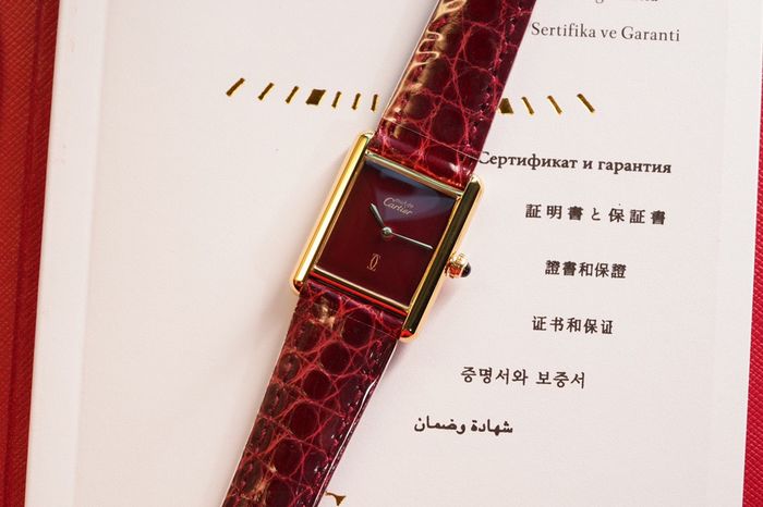 Cartier Watch CTW00207