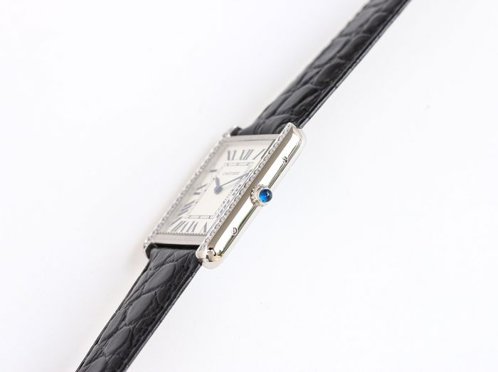 Cartier Watch CTW00209-1