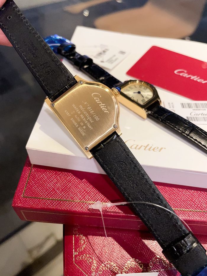 Cartier Watch CTW00211