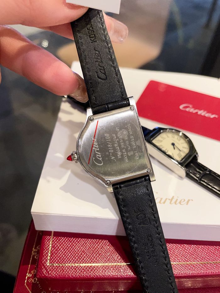 Cartier Watch CTW00213