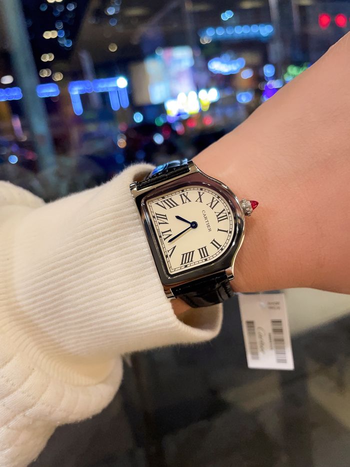 Cartier Watch CTW00213