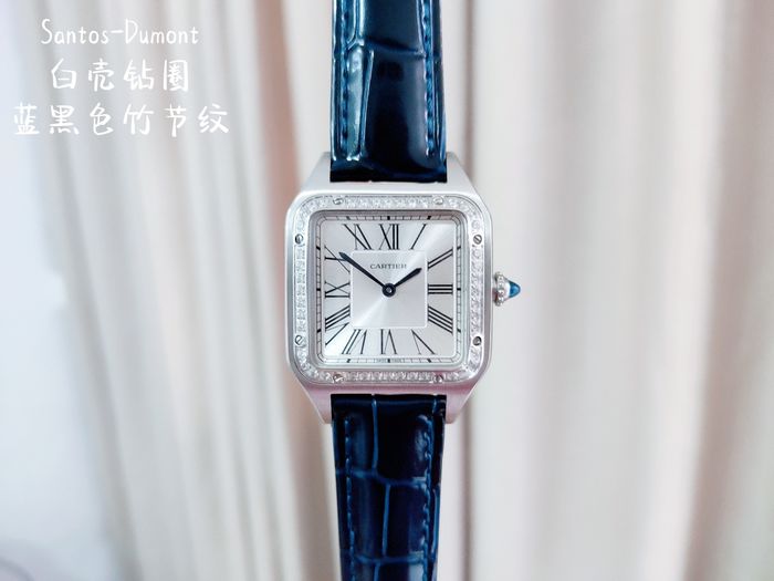 Cartier Watch CTW00232-2