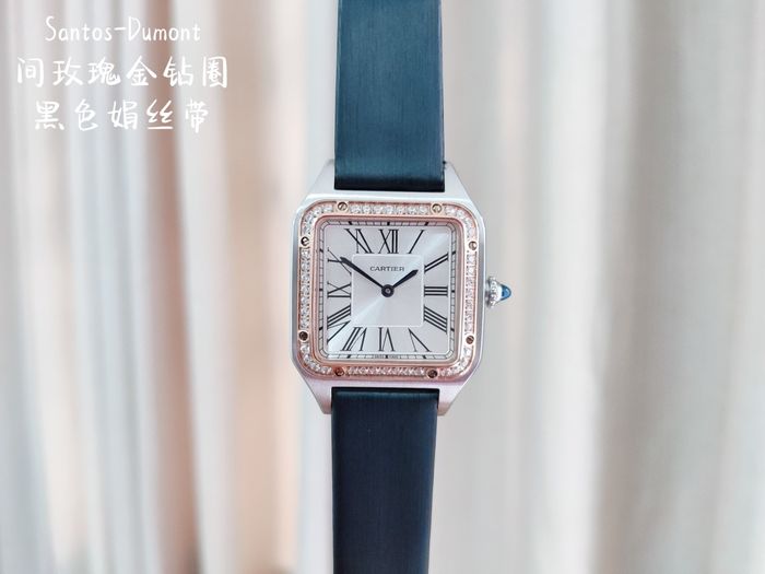 Cartier Watch CTW00233-6