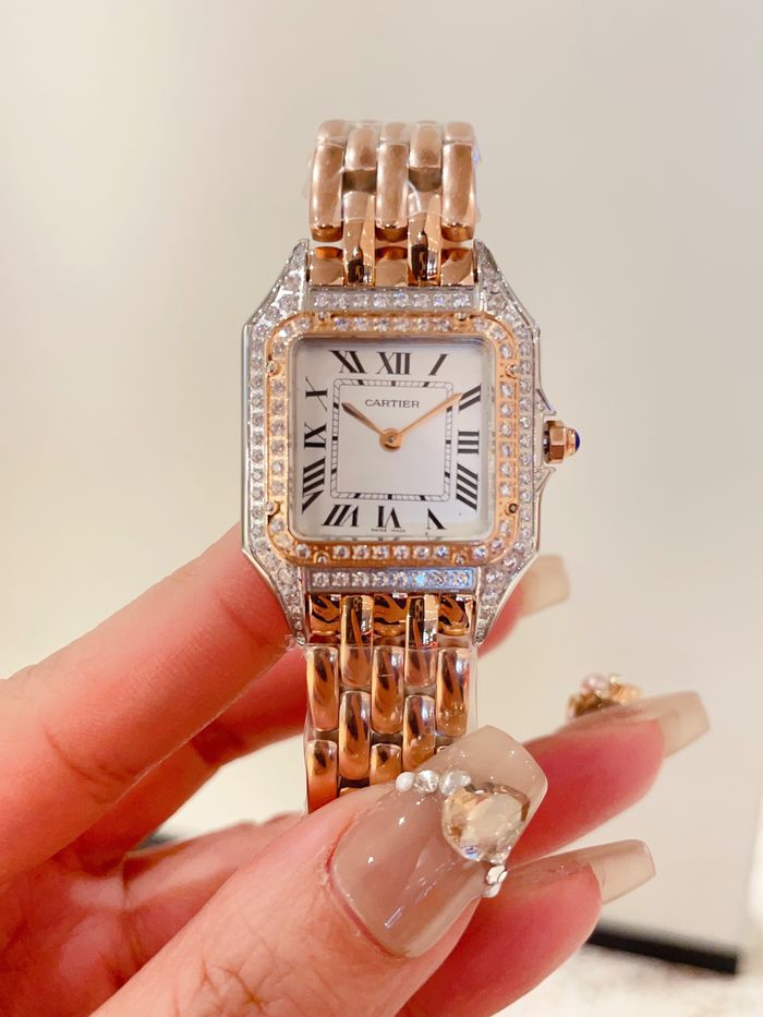 Cartier Watch CTW00241