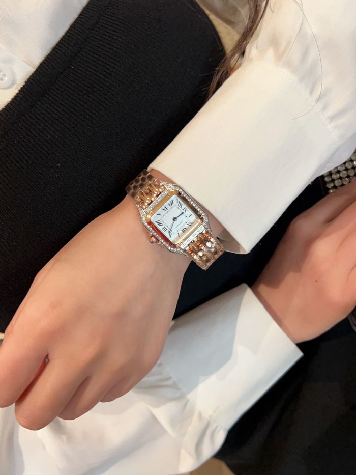 Cartier Watch CTW00248