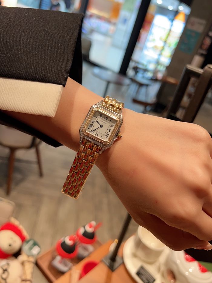 Cartier Watch CTW00251