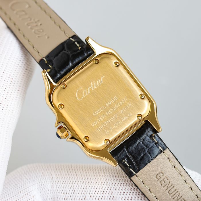 Cartier Watch CTW00258-1