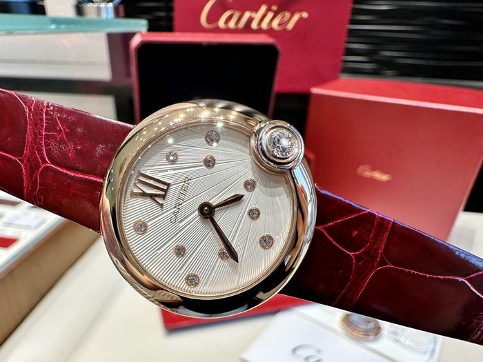 Cartier Watch CTW00278