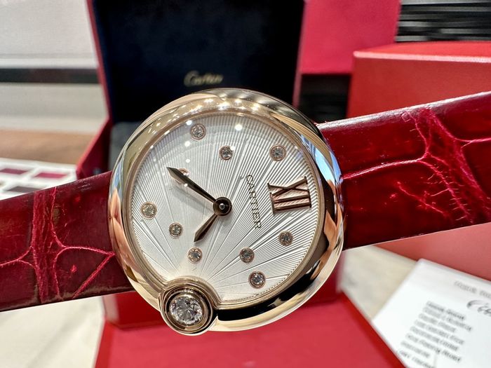 Cartier Watch CTW00278