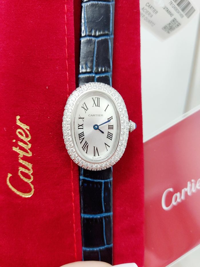 Cartier Watch CTW00284