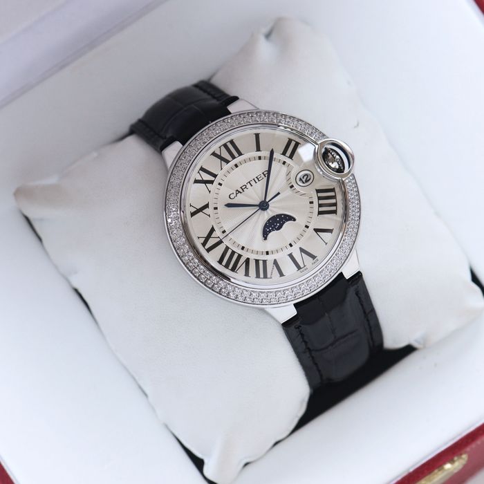 Cartier Watch CTW00289-1