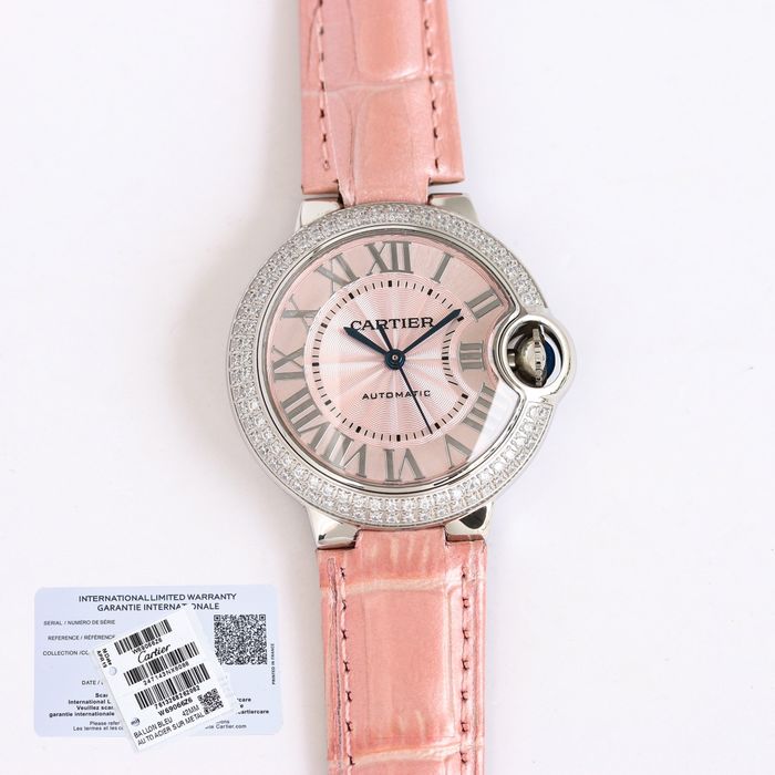 Cartier Watch CTW00308-6