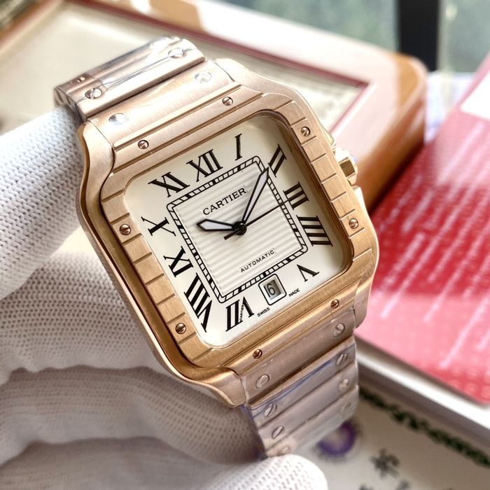 Cartier Watch CTW00359-1