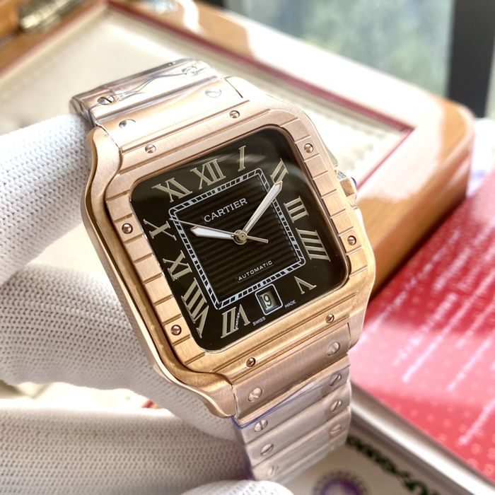 Cartier Watch CTW00359-3