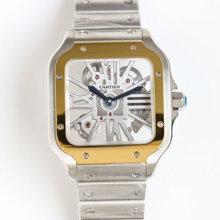 Cartier Watch CTW00361-1