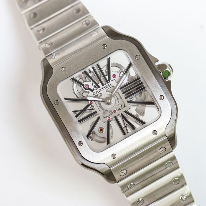 Cartier Watch CTW00362-2