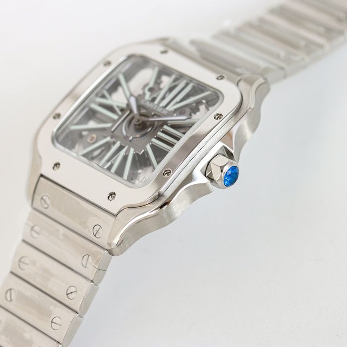 Cartier Watch CTW00363-1