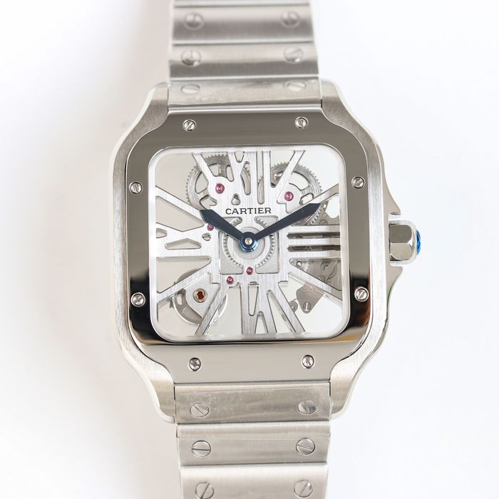 Cartier Watch CTW00363-2