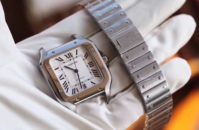 Cartier Watch CTW00369