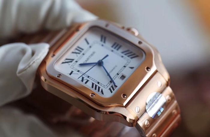 Cartier Watch CTW00373