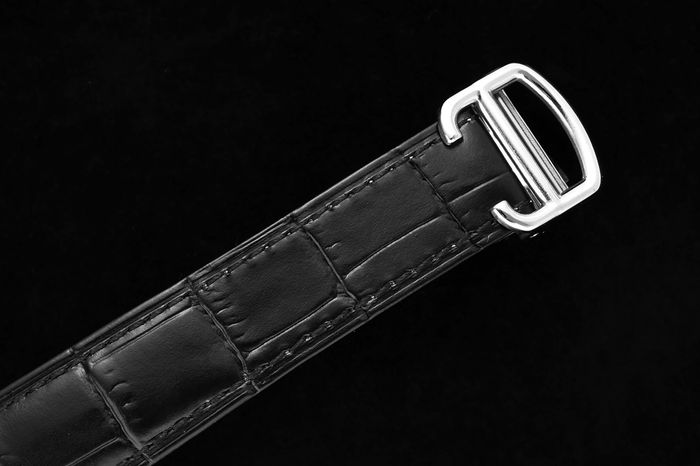 Cartier Watch CTW00384