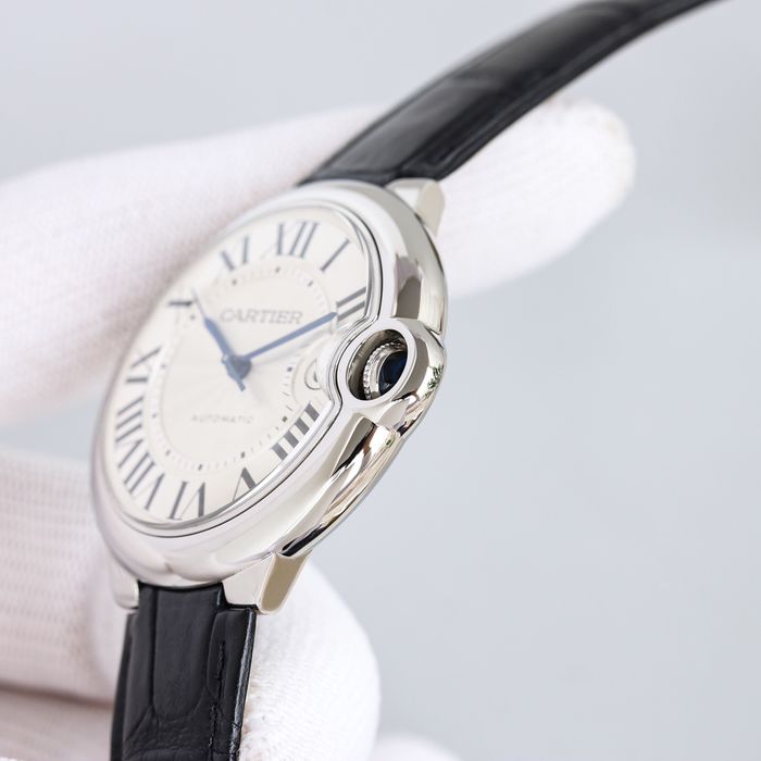 Cartier Watch CTW00439