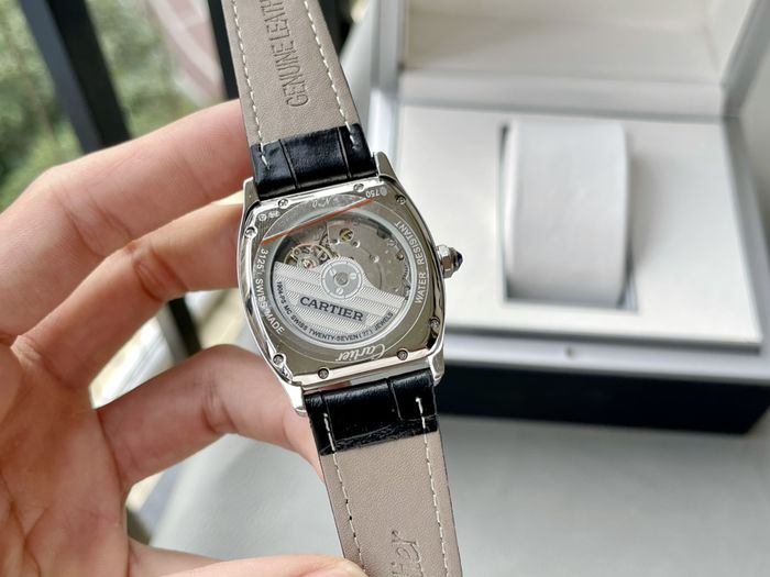 Cartier Watch CTW00460-1